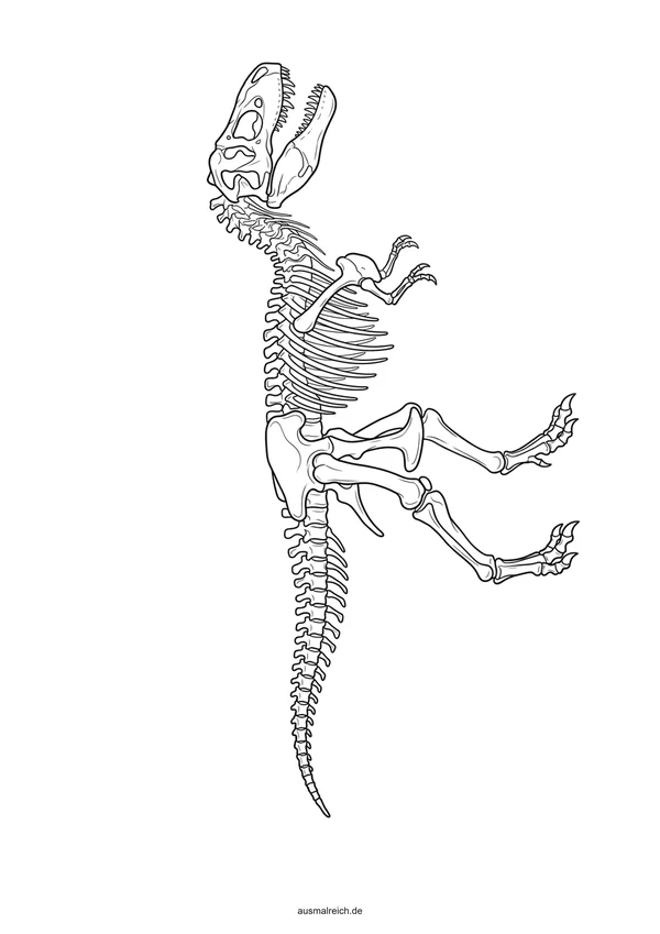 Gefährlicher T-Rex mit messerscharfen Zähnen - Kostenloses Ausmalbild für Kinder (8-12 Jahre)