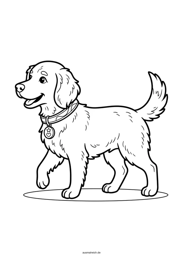 Hund mit schönem Halsband - Kostenloses Ausmalbild für Kinder (6-8 Jahre)