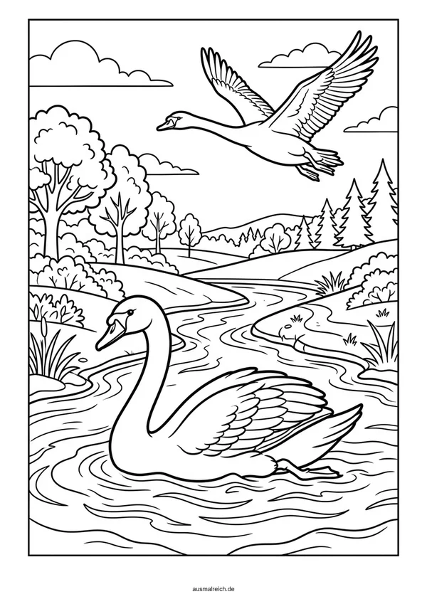 Schwan schwimmt auf dem See - Kostenloses Ausmalbild für Kinder (5-7 Jahre)