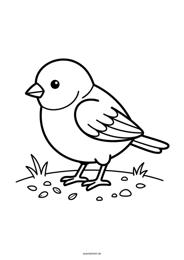 Spatz im Baum - Kostenloses Ausmalbild für Kinder (4-5 Jahre)